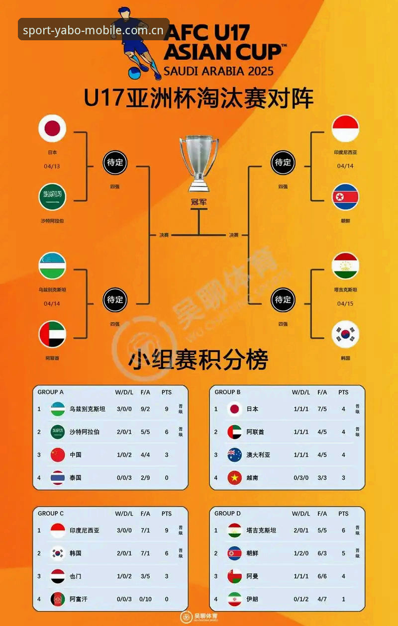 U17世界杯抽签结果深度分析：中国男女足出线前景与赛事看点全面解析